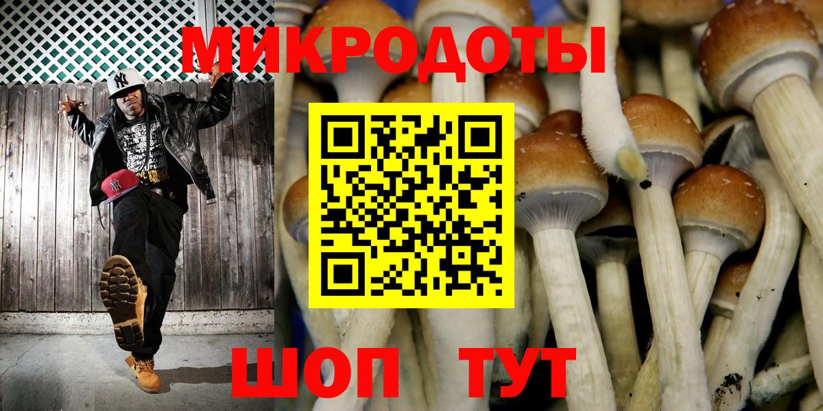 Галлюциногенные грибы Psilocybine cubensis Людиново