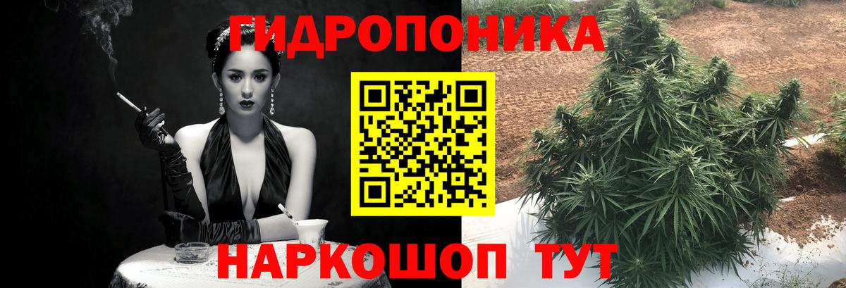 Бошки марихуана ГИДРОПОН  Бошки Шишки VHQ  Вход с VPN  Бошки Шишки индика  Людиново 